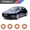 Citroen C5 Diesel 4 Tırnak Enjektör Pulu 4 Adetli Set