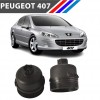OTOZET Peugeot 407 DW10 Motor Yağ Filtre Kabı Yan Sanayi 1103.L7