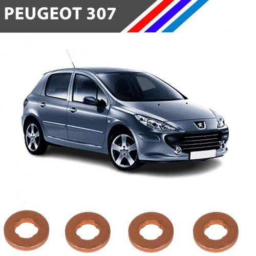Peugeot 307 1.6 HDI Enjektör Pulu 4 Tırnak 4 Adetli Set