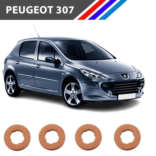 Peugeot 307 Diesel 4 Tırnak Enjektör Pulu 4 Adetli Set