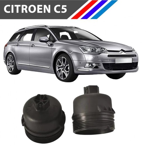 OTOZET Citroen C5 DW10 Motor Yağ Filtre Kabı Yan Sanayi 1103.L7