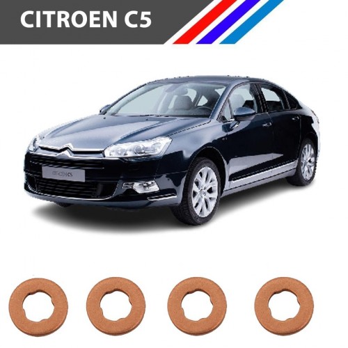 Citroen C5 Diesel 4 Tırnak Enjektör Pulu 4 Adetli Set