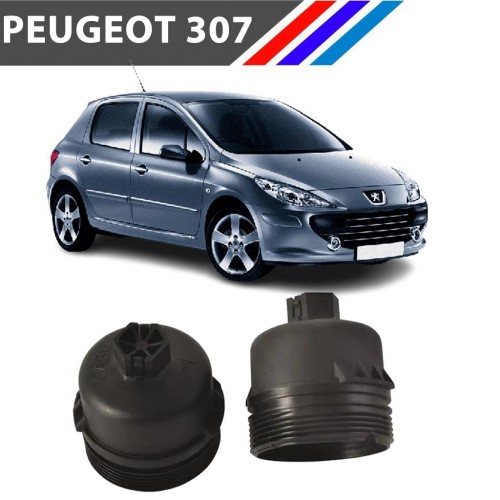 OTOZET Peugeot 307 Benzinli Yağ Filtre Kabı Yan Sanayi 1103.L7