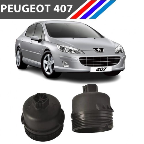 OTOZET Peugeot 407 DW10 Motor Yağ Filtre Kabı Yan Sanayi 1103.L7