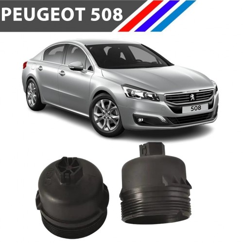 OTOZET Peugeot 508 DW10 Motor Yağ Filtre Kabı Yan Sanayi 1103.L7